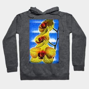 Three Yellow Orchid Blooms Hoodie